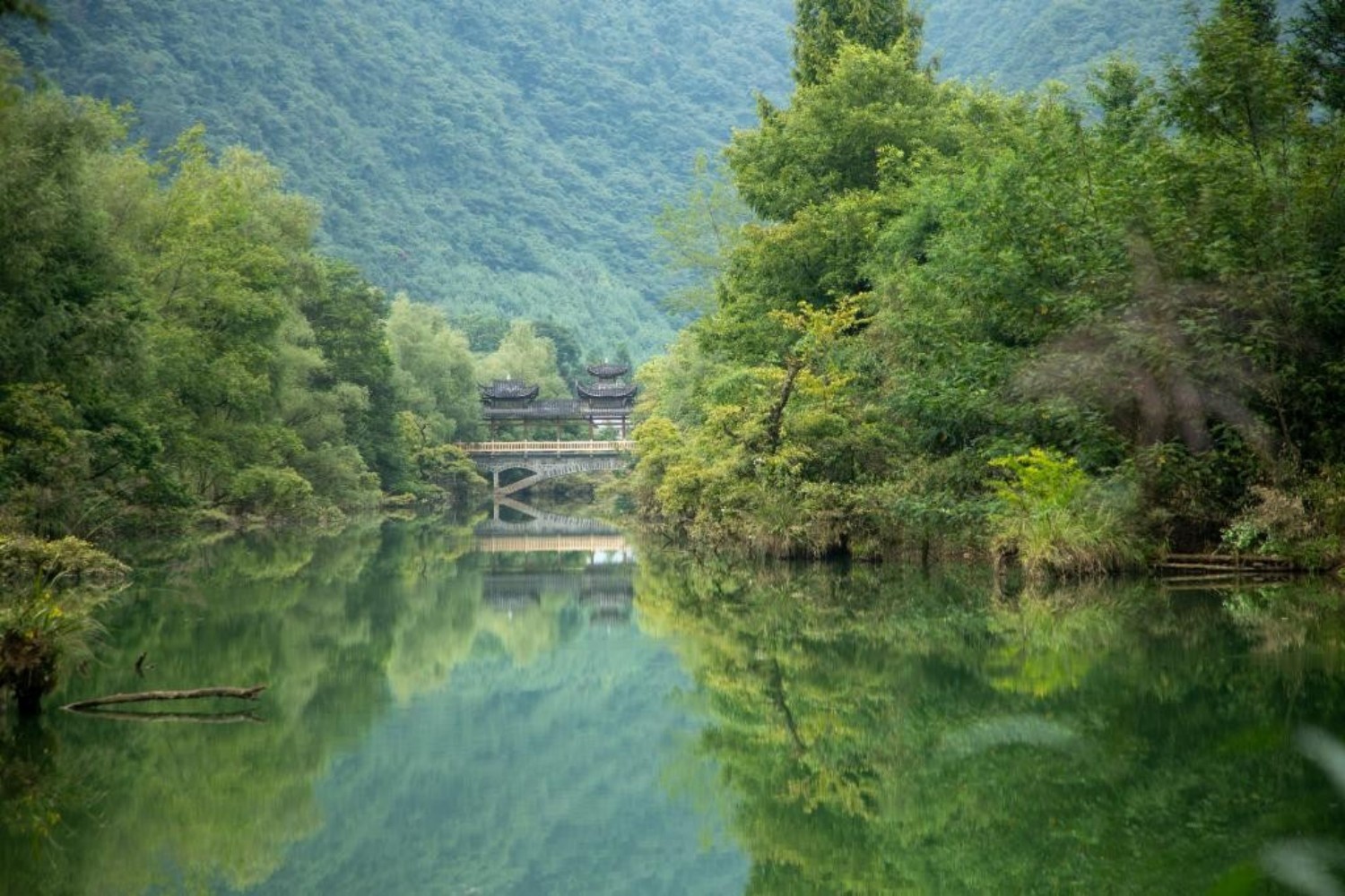 一个鄂西山村的“诗与远方”