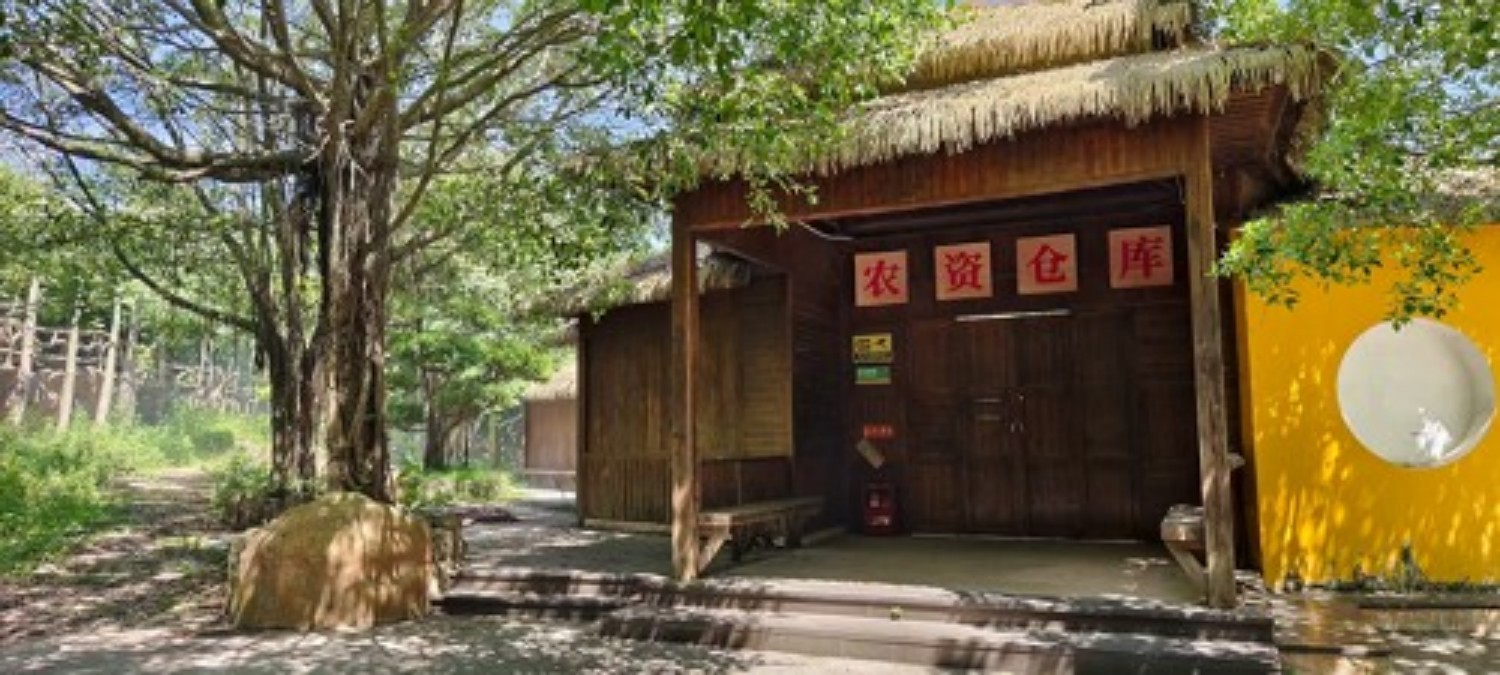 荒芜田园蝶变"金山银山" ——河浦丹樱生态园的先行者与典范之路