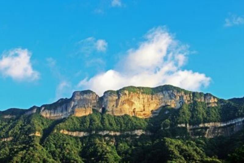 重庆金佛山：不负绿水青山，独特种质资源焕新生